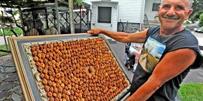 Largest collection of peach pits: Joe Resendes breaks Guinness World Records record