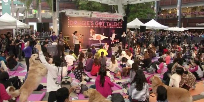 Largest dog yoga class: Hong Kong breaks Guinness World Records record