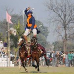 A Nihang balance on two horses on second day as they take part in the 80th MRF Kila Raipur Sports Festival in Kilaraipur on the outskirts of Ludhiana on February 5, 2016.