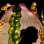 A visitor walks past an installation at the Magical Lantern Festival, created to celebrate the Chinese New Year, at Chiswick House Gardens in London, Britain February 3, 2016.