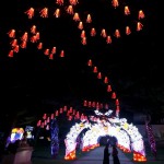 Visitors walk next to one of the installations, at the Magical Lantern Festival, created to celebrate the Chinese New Year, at Chiswick House Gardens in London, Britain February 3, 2016.