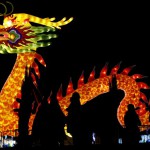 Visitors walk past an installation shaped like a dragon, at the Magical Lantern Festival, created to celebrate the Chinese New Year, at Chiswick House Gardens in London, Britain February 3, 2016.