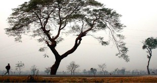 कौन गाता जा रहा है – विद्यावती कोकिल