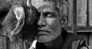 लो वही हुआ – दिनेश सिंह