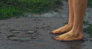 तेरी याद - बलविंदर ‘बालम’