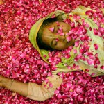 A widow takes part in flower Holi celebrations at Gopinath Temple Vrindavan in Uttar Pradesh