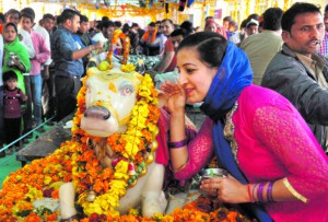 A woman devotee says her wish in the ears of Nandi Maharaj in Panchkula
