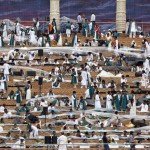 Participants cover themselves with plastic sheets as it rains at the venue of the World Culture Festival on the banks of a river in New Delhi on March 11, 2016