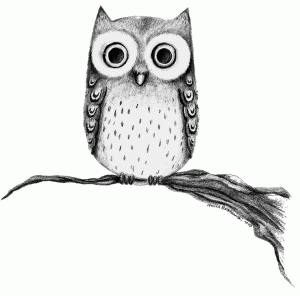 Smart Owl