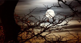 उग आया है चाँँद - नरेंद्र शर्मा