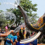 A boy and an elephant splash each other with water during the celebration of the Songkran water festival in Thailand's Ayutthaya province, north of Bangkok, on April 11, 2016