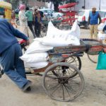 A couple takes away the government wheat distributed by the Food and Civil Supplies Department in Amritsar