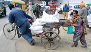 A couple takes away the government wheat distributed by the Food and Civil Supplies Department in Amritsar