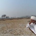 A farmer stares at his salinity hit agricultural field at Badopal village of Fatehabad Hundres of acres are affected by salinity and wateslogging in the area