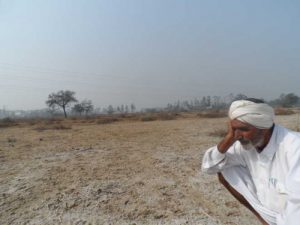 A farmer stares at his salinity hit agricultural field at Badopal village of Fatehabad Hundres of acres are affected by salinity and wateslogging in the area