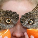 A visitor poses for a picture with Owl butterflies during a photocall for the ‘Sensational Butterflies’ exhibition at the Natural History Museum in London