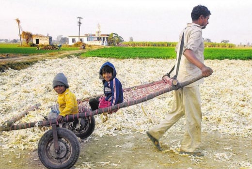 A man gives ride to his children in a handcart in a field near Jalandhar