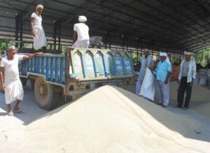 Arthiyas boycott decision adds to Haffeds woes farmers unload bajra at the Rewari grain market