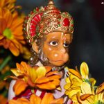 Beautiful idol of Lord Hanuman