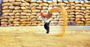 Deputy Commissioner Rajat Agrarwal takes stock of grain market