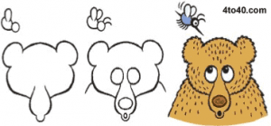 Draw a bear in 3 easy steps