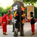Mahouts paint an elephant ahead of the celebration of the Songkran water festival in Thailand's Ayutthaya province, north of Bangkok, on April 11, 2016