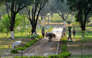 Mosquitoes stinking nullah play spoilsport venue for state dinner for industrialists shifted from Nature Park to 5 star hotel Mohali
