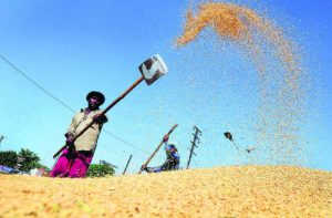The Centre released pending dues of farmers amounting to Rs,5000 crore in lieu of paddy Procured in Punjab Last Year giving respite to farmers