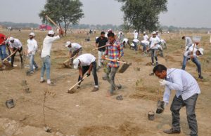 Volunteers busy in tree plantation at Banawali Thermal plan Volunteers plant saplings during a drive in Mansa