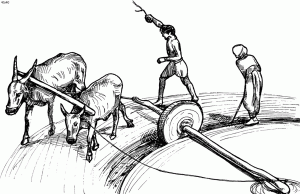 Cement Making