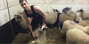 Fastest time to shear a sheep: Ivan Scott breaks Guinness World Records record