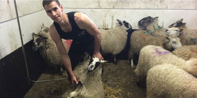 Fastest time to shear a sheep: Ivan Scott breaks Guinness World Records record