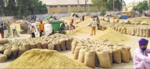grain market in Sangrur