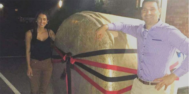 Most expensive hay bale: Australian meat firm sets world record