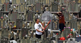 Qingming / Tomb Sweeping Day