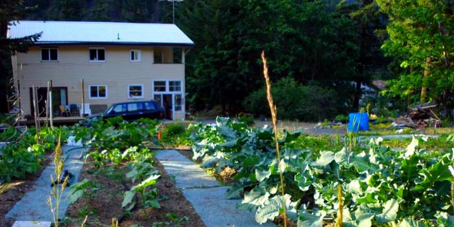 Reduce Diabetes, BP by living amid greenery