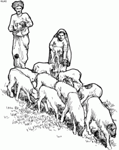 Shepherd