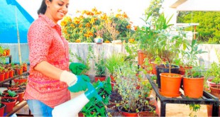 एक से भले दो