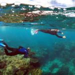 Tourists snorkel in an area called the 'Coral Gardens' located at Lady Elliot Island, northeast from the town of Bundaberg in Queensland, Australia.