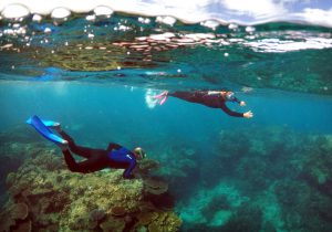Tourists snorkel in an area called the 'Coral Gardens' located at Lady Elliot Island, northeast from the town of Bundaberg in Queensland, Australia.