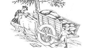 गाड़ीवान को सहायता देने वाला विधार्थी Hindi story of a Student who helped poor Carter