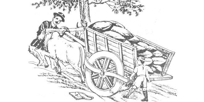 गाड़ीवान को सहायता देने वाला विधार्थी Hindi story of a Student who helped poor Carter