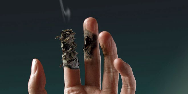 How is World No Tobacco Day celebrated?