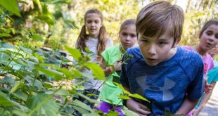 Parenting - Nuturing Success: Capitalize on Existing Successes