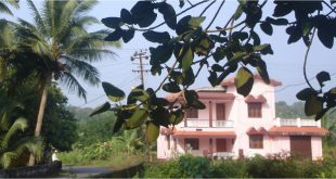 वास्तु शास्त्र और आवासीय भवन के लिए भूमि Vastu Shastra For Plots