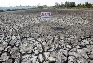 A sign that reads ‘Land for sale or for lease’ is seen placed on a drought-affected rice field in Bac Lieu province, in the Mekong Delta, Vietnam March 30, 2016.