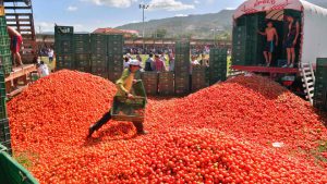 People participate in the tenth annual tomato fight festival, known as ‘tomatina’, in Sutamarchan, Boyaca department, Colombia, on June 5, 2016.