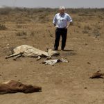 U.N. humanitarian chief Stephen O'Brien inspects the carcasses of dead cows in the drought-affected village of Bandarero, near Moyale town on the Ethiopian border, in northern Kenya . O'Brien said he is confident the United States will step up and donate to aid appeals amid concerns of possible foreign aid cuts under President Donald Trump