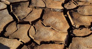 Drought Images