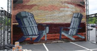 USA Guinness World Records: Largest Paintbrush Mosaic